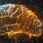 Cognitive Abstraction Neural Pathways