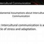 “intercultural Communication And Adaptation”