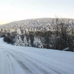 Fostering Local Creative Talent