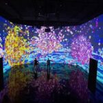 Interactive Gallery Art Experiences