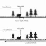 Understanding Depth In Portraits